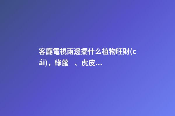 客廳電視兩邊擺什么植物旺財(cái)，綠蘿、虎皮蘭、發(fā)財(cái)樹